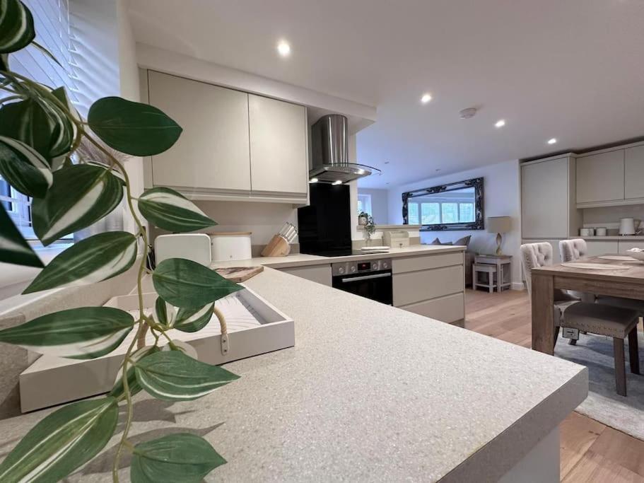 Appartement 2Bed Ground Floor Flat + Garden à Sunningwell Extérieur photo